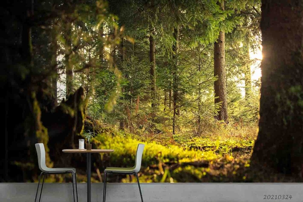 3D Forest Sunshine Landscape Wall Murals Wallpaper Murals Wall Sticker 5