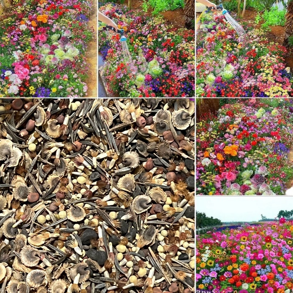 Seasonal Enchantment Garden - 200pcs Mixed Perennial Flower Seeds Collection-image