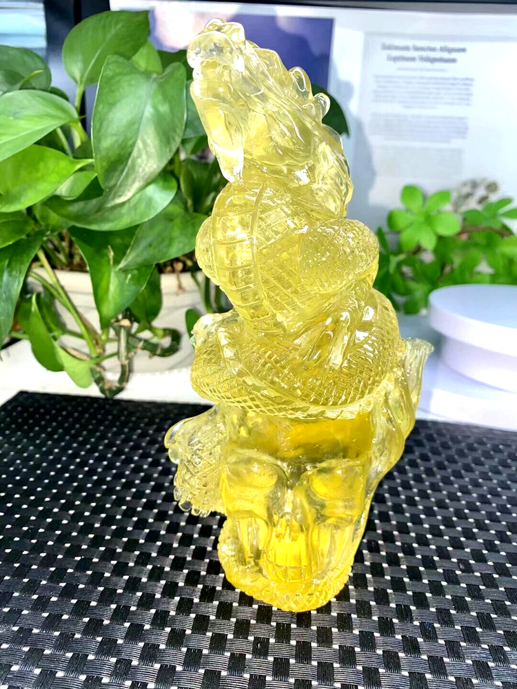 Top 1.7LB Natural Citrine Quartz Dragon Skull Crystal Healing Stone