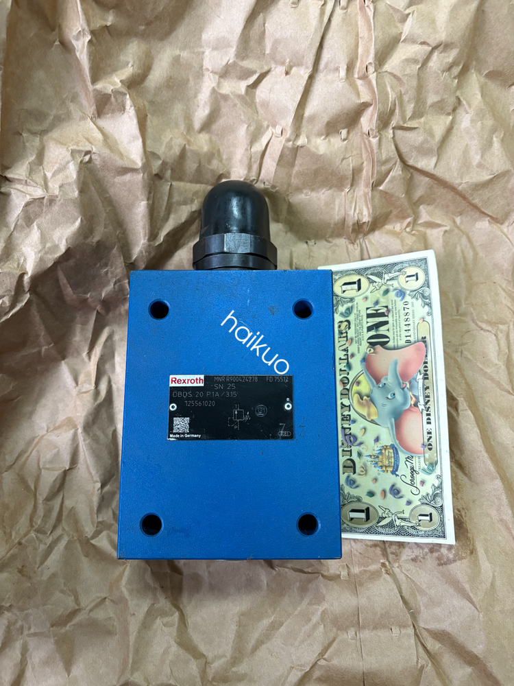 DBDS20P1X/315 NEW REXROTH VALVE R900424278