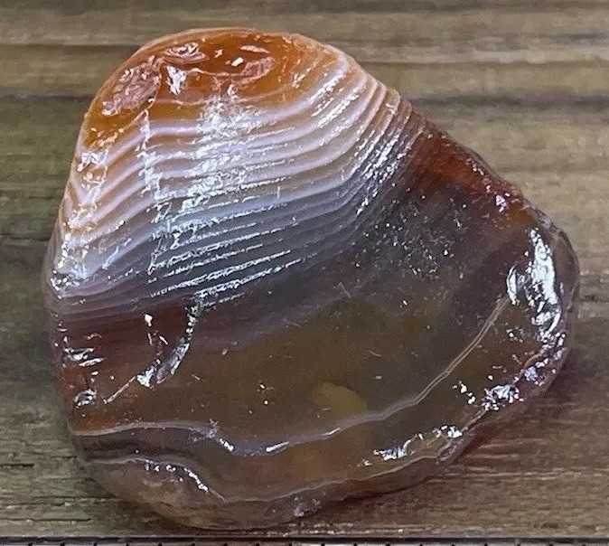 0.41 Oz CANDY CORN! Lake Superior Agate Clarksgems