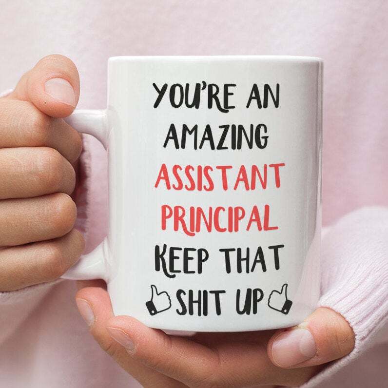 Assistant Principal Appreciation Gift Mug - Perfect For School Leaders