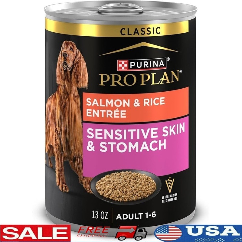 High Protein Salmon Rice Wet Dog Food Sensitive Stomach Skin & Digestive Health