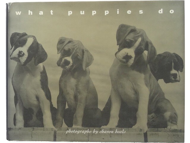 Puppy Photo Collection Dogs Sharon Bills