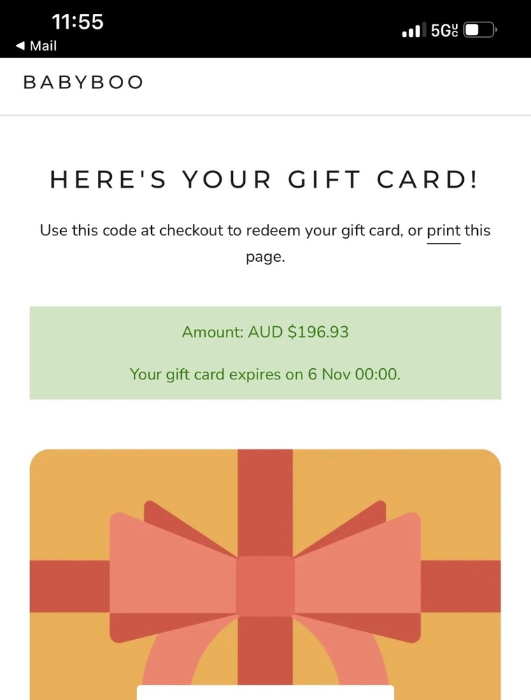 BABYBOO Fashion Gift Card – $270 for $308 Value-image