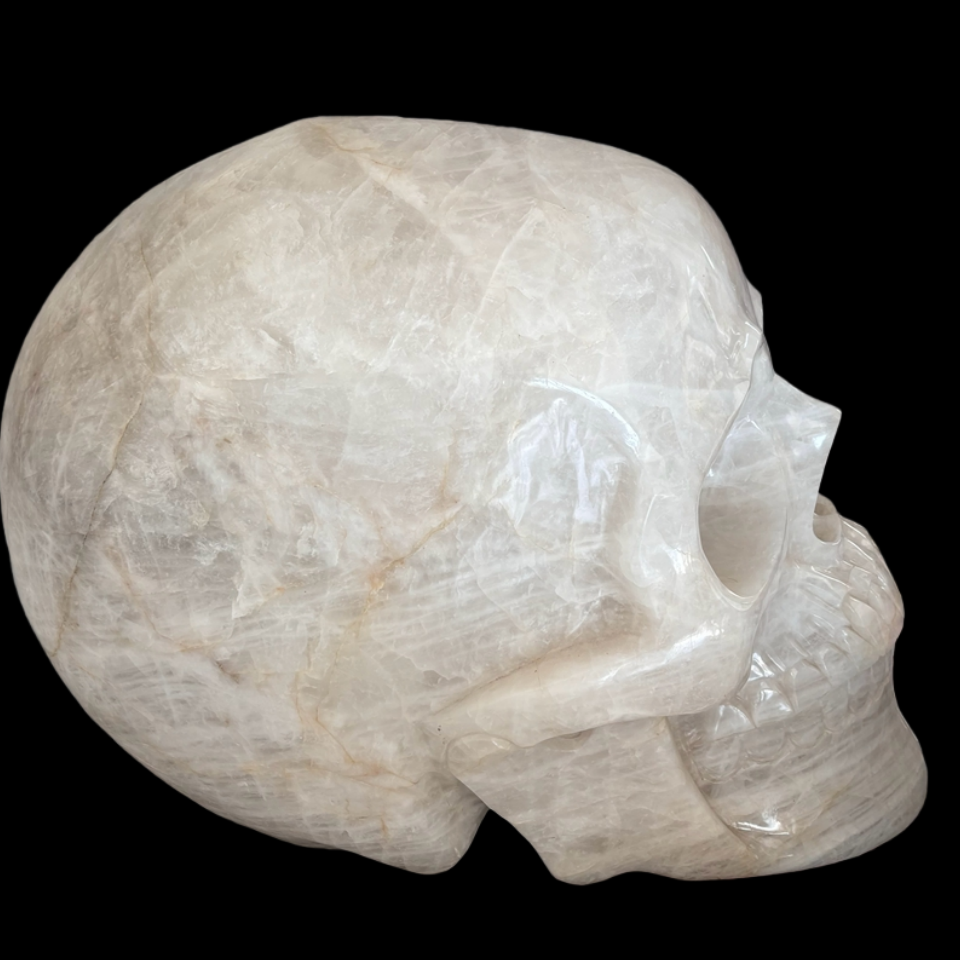 1276LB Natural White Quartz Skull Carved Large Clear Crystal Skull Healing