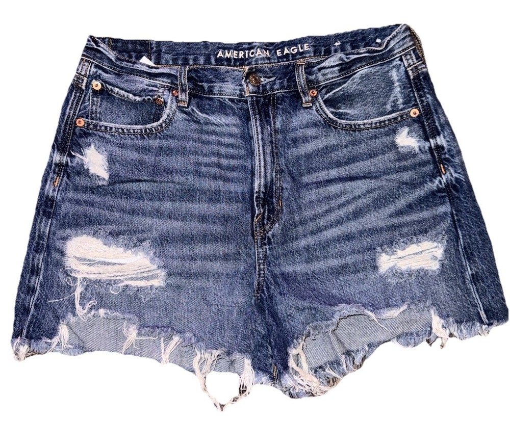 American Eagle 90s Boyfriend Shorts Size 10