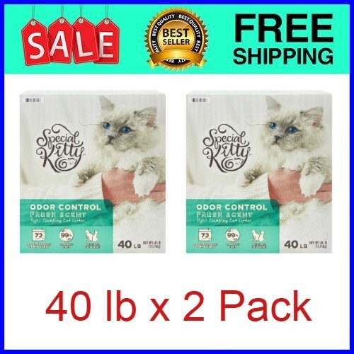 Special Kitty Odor Control Tight Clumping Cat Litter Fresh Scent 40 lb x 2 Packs