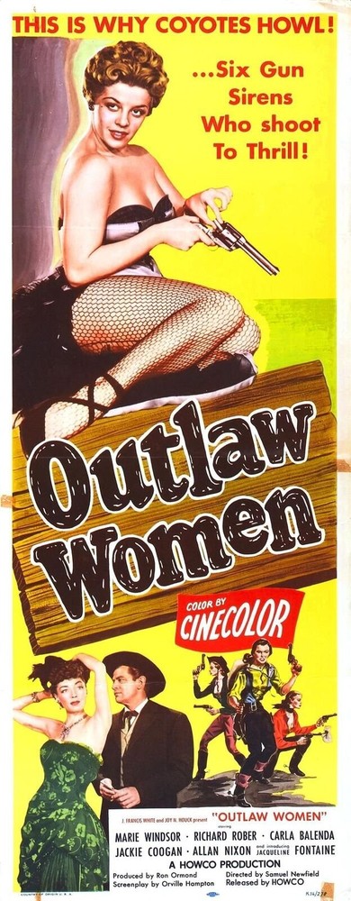 Outlaw Women 3 Movie Poster Art Print Choose Your Size Lot