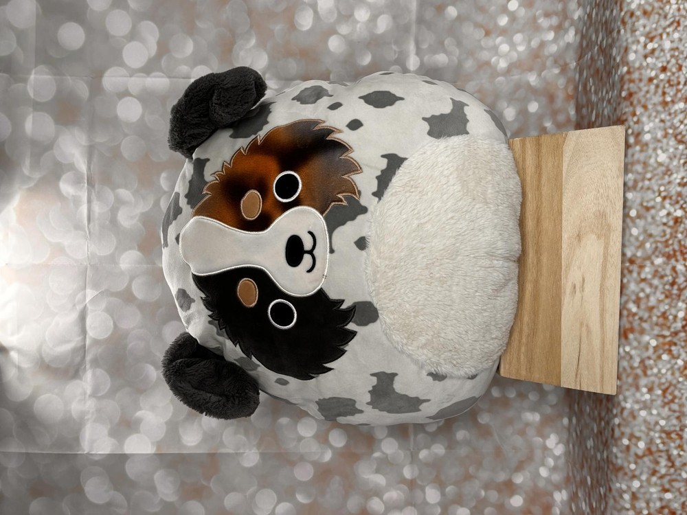 🐶🐶 Squishmallows Original Raylor The Australian Shepherd Dog 16