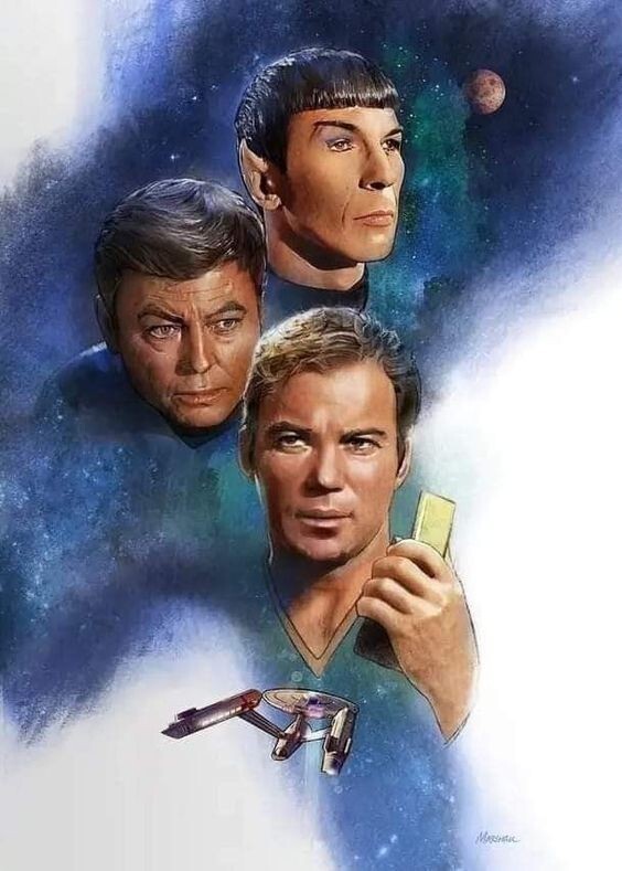 Star Trek 8x11 inch vibrant laminated poster