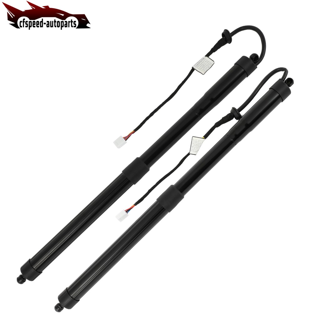 2019-2020 Toyota RAV4 Liftgate Gas Struts Lift Supports Shocks Springs