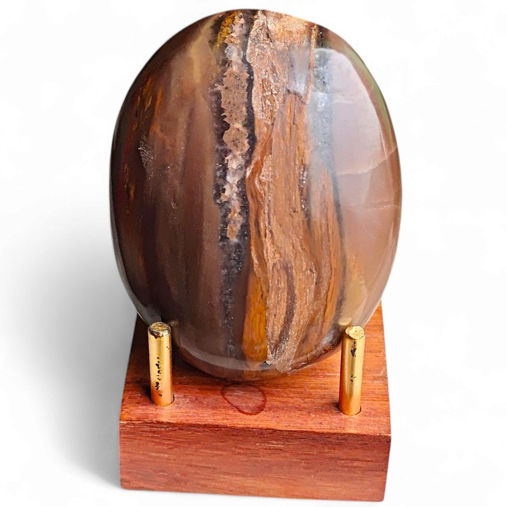 Petrified Wood Palm Stone Fossil Natural Polished Specimen Healing Crystal Decor
