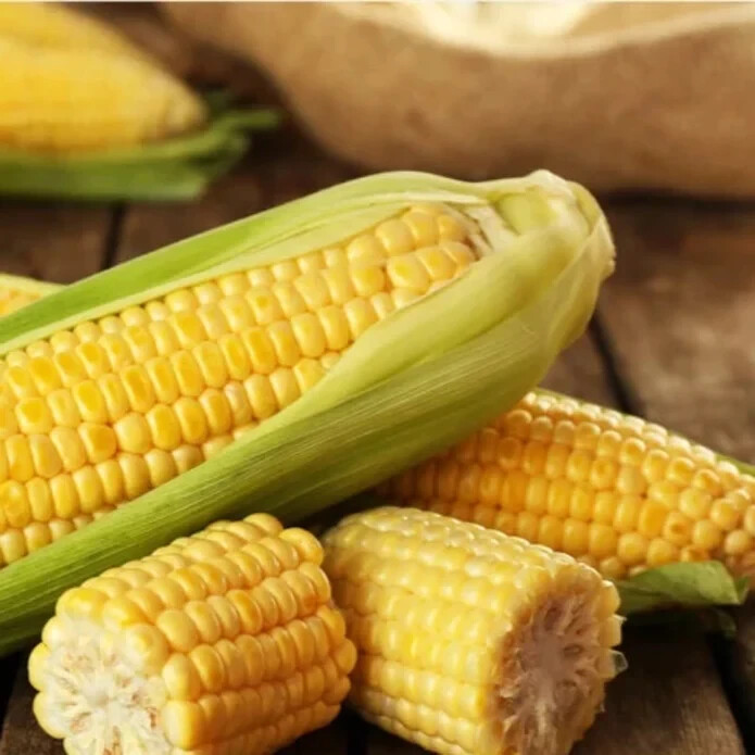 50pcs Golden Bantam Heirloom Corn Seeds – Non-GMO Open-Pollinated Sweet Variety
