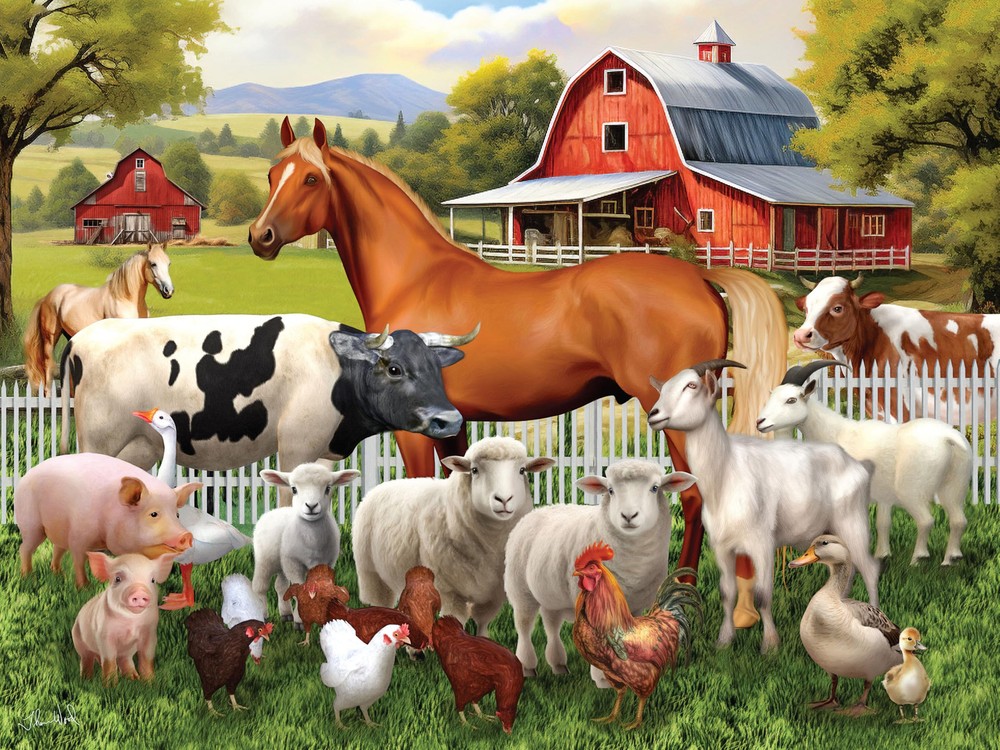 - Tom Wood - Farm Animal Friends - 300 Oversized Piece Jigsaw Puzzle