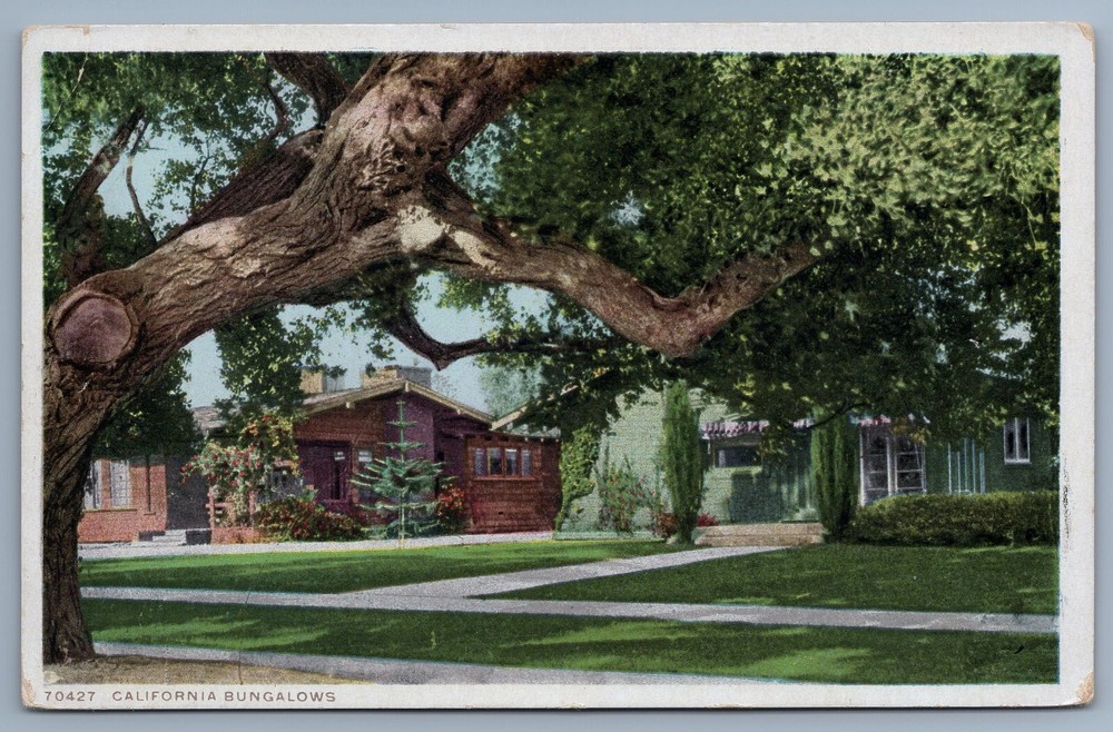 Vintage California Bungalows Giant Oak Tree Home Postcard C8
