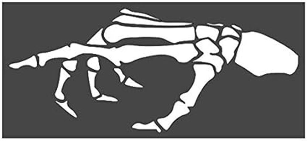 Skeleton Hand Stencil 5x11 inch Custom Cut Reusable Stencil Drawing Template F