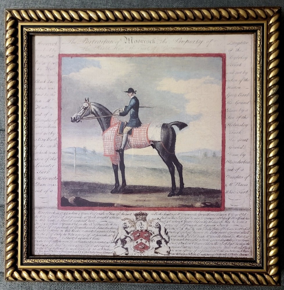 Bombay Company Framed Art Roan Horse Cheval Rouan Equestrian English 19x19