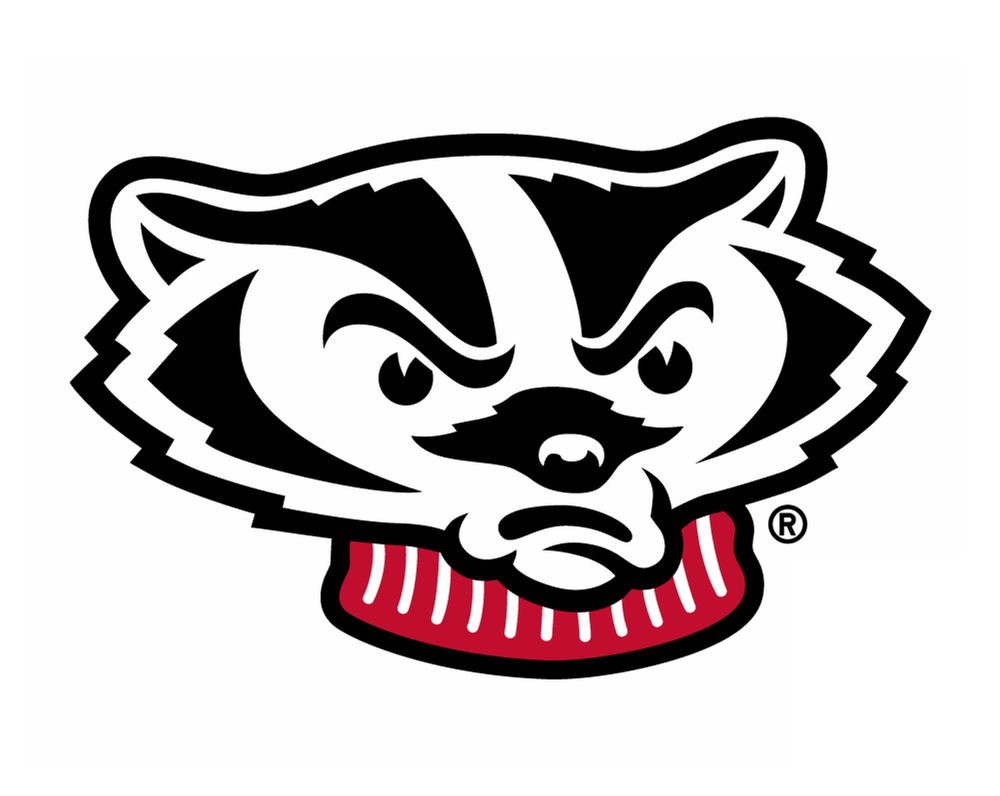 Wisconsin Badgers NCAA Weather Resistant Vinyl Die Cut Sticker Decal 11