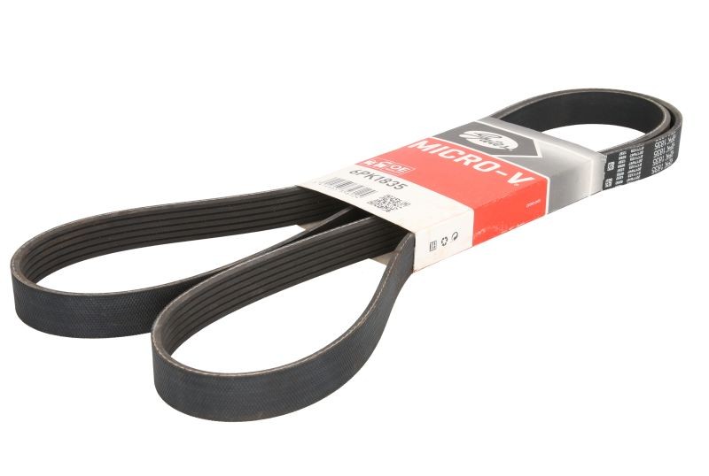 GAT - Multi Ribbed Belt for CHEVROLET EPICA, DAEWOO MAGNUS, NISSAN INTERSTAR