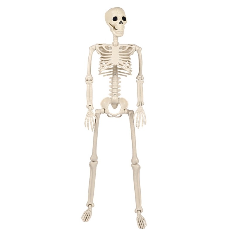 Full Body Poseable Hanging Skeleton for Halloween Haunted House Decor-image