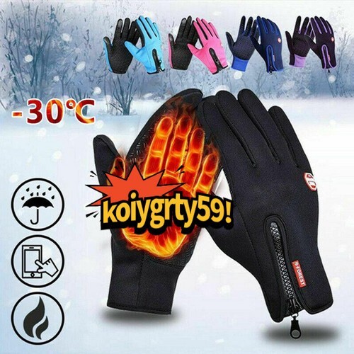 Gloves Windproof Waterproof Winter  Touch Screen Warm Thermal Men Women Mittens