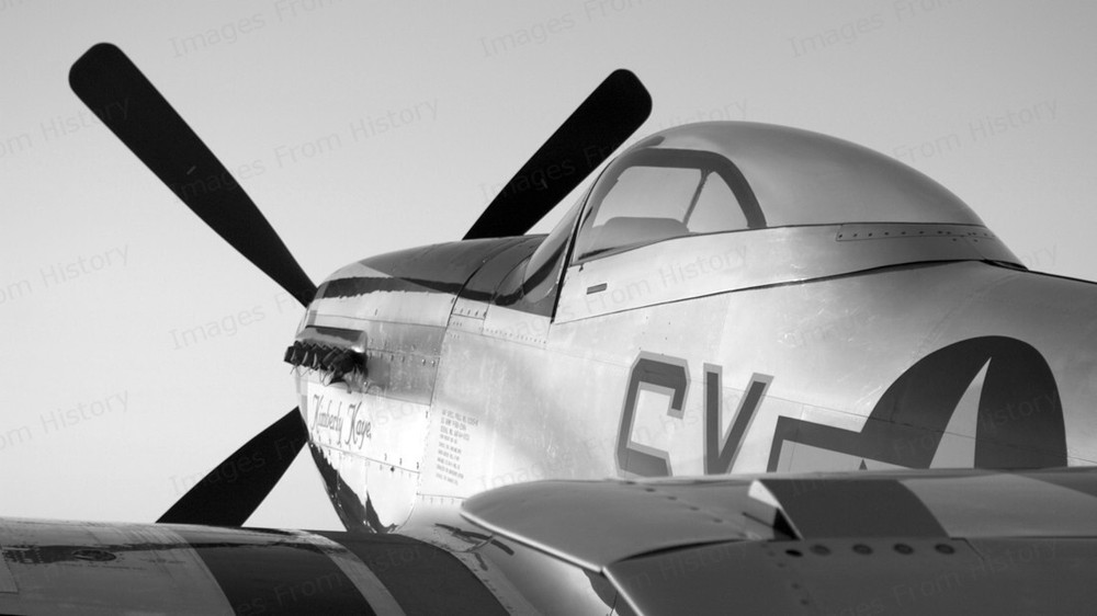 8x10 Print North American P-51 Mustang Restored #NAP