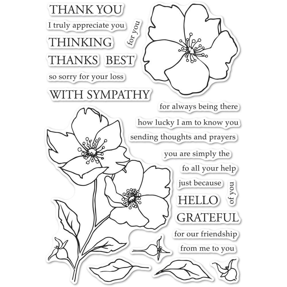 Memory Box Wild Rose Clear Rubber Stamp Set with Sentiments Free USA Shipping