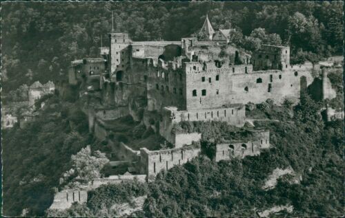 Ansichtskarte St. Goar am Rhein Burg Rheinfels (b134)