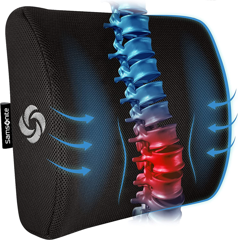 Lumbar Support Pillow for Office Chair and Car Seat, Perfectly Balanced Memory F