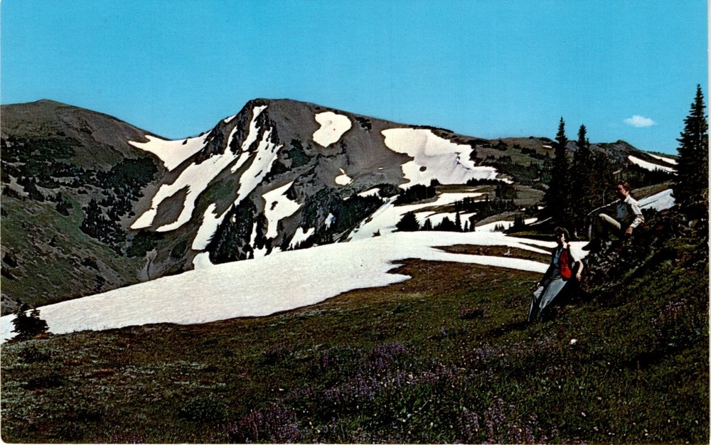Stunning OBSTRUCTION POINT View in Olympic National Park Postcard  