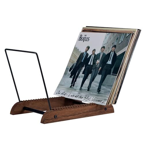 Extra-Large Vinyl Record Storage Holder Modern Album Display Solid Wood Stand