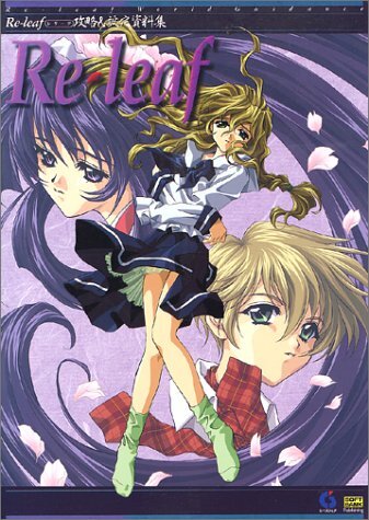 Relief capture & setting material collection form JP