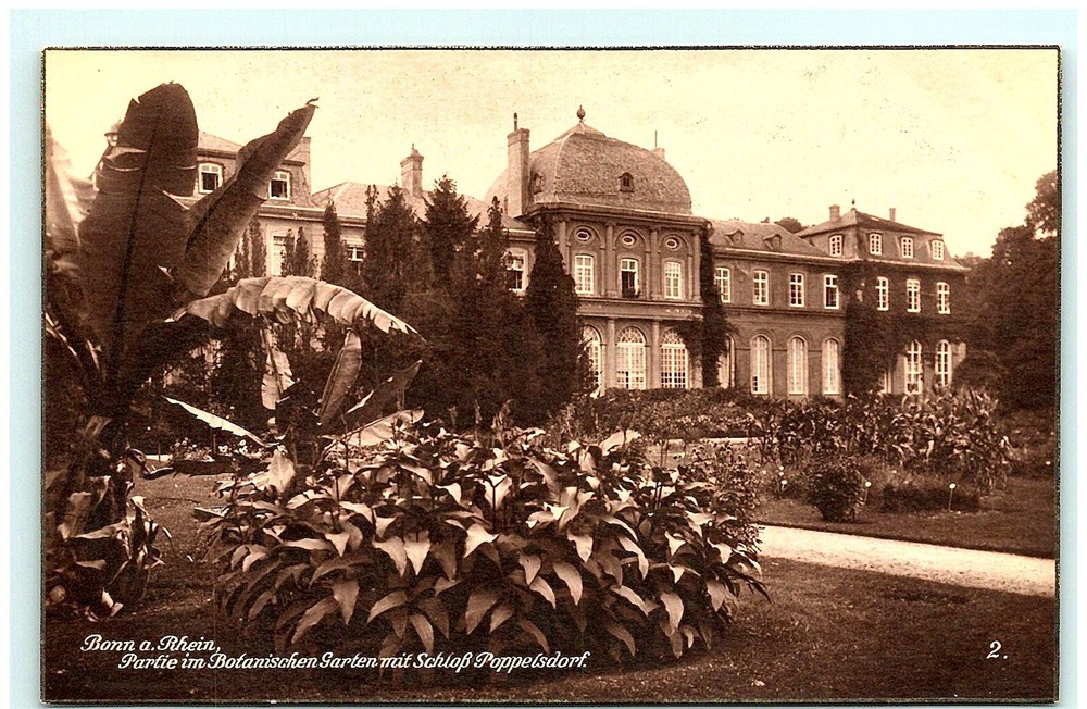 S03-0586, BONN A RHEIN, PARTIE IM BOTANISCHEN GARTEN, SCHLOSS POPPELSDORF, RPPC