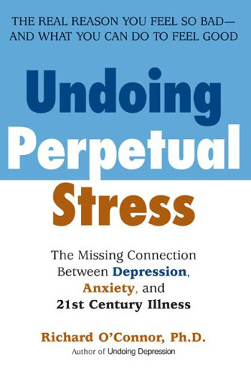Undoing Perpetual Stress : The Missing Connection Between Depress