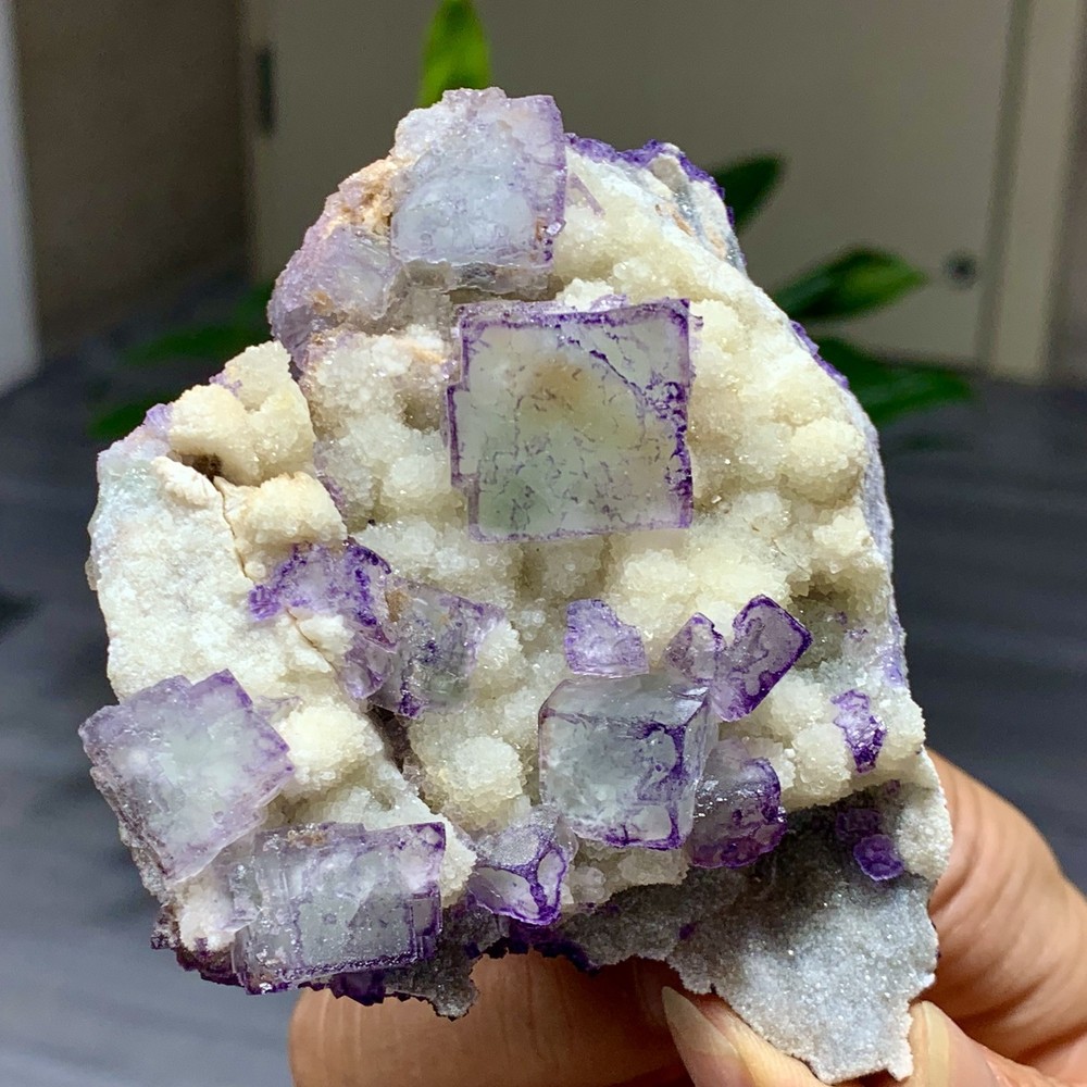 225G Natural Purple 
