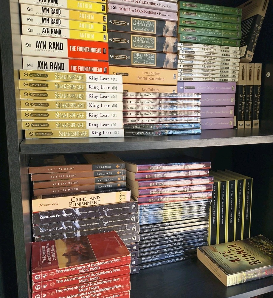 Lot of 24 Classic Books Orwell, Fitzgerald, Dostoevsky Curated Paperback Library