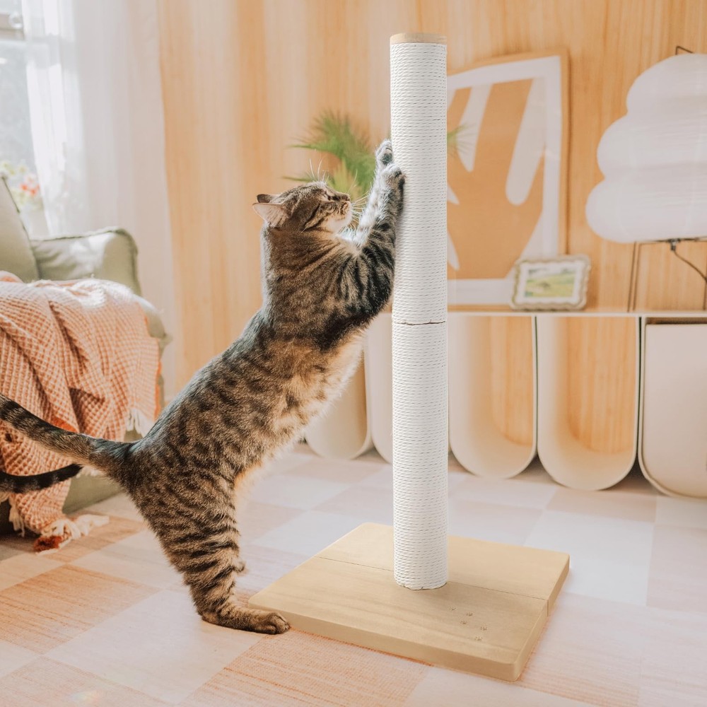 31.5-Inch Oak Cat Scratching Post with Durable Paper Rope for Kittens