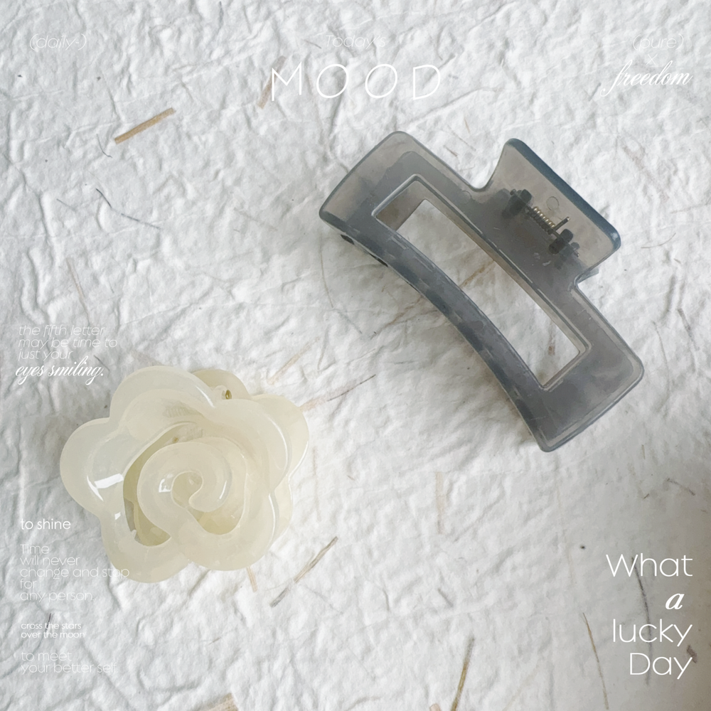 Limited Stock Hair Claw Clips Clearance Sale – Get Your Unique Set Now!-image