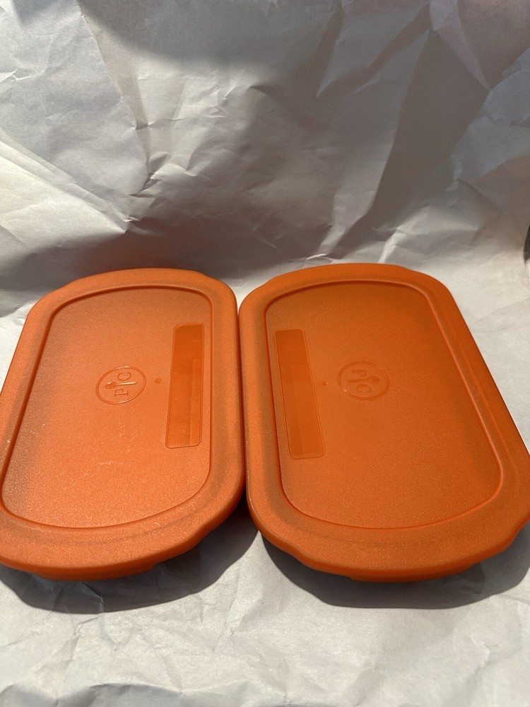 Lot Of 2 Pampered Chef Freezer Storage Container