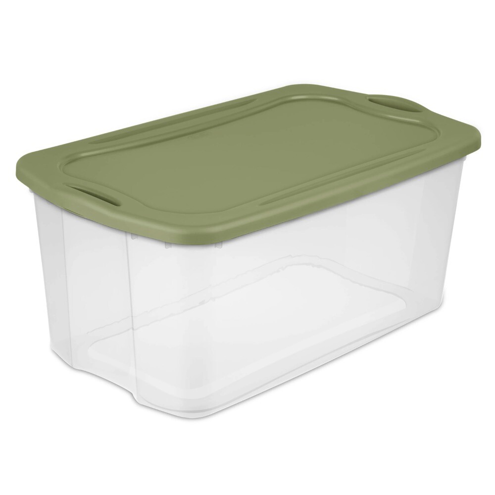 120 Qt Clear/Sage Plastic Legume Storage Bin for Adults