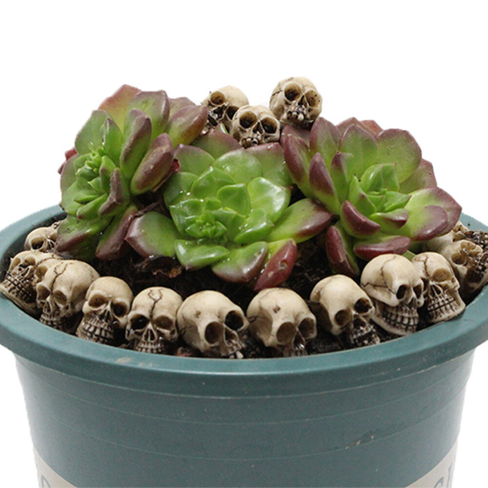 20x Mini Human Skull Skeleton Figure Model Skeleton Scene Accessory Display Toys