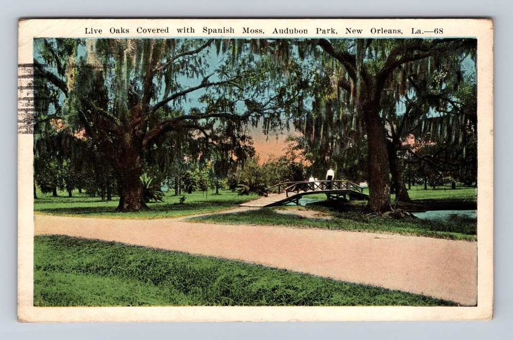 New Orleans LA-Louisiana, Audubon Park, Oak Trees, Vintage c1925 Postcard