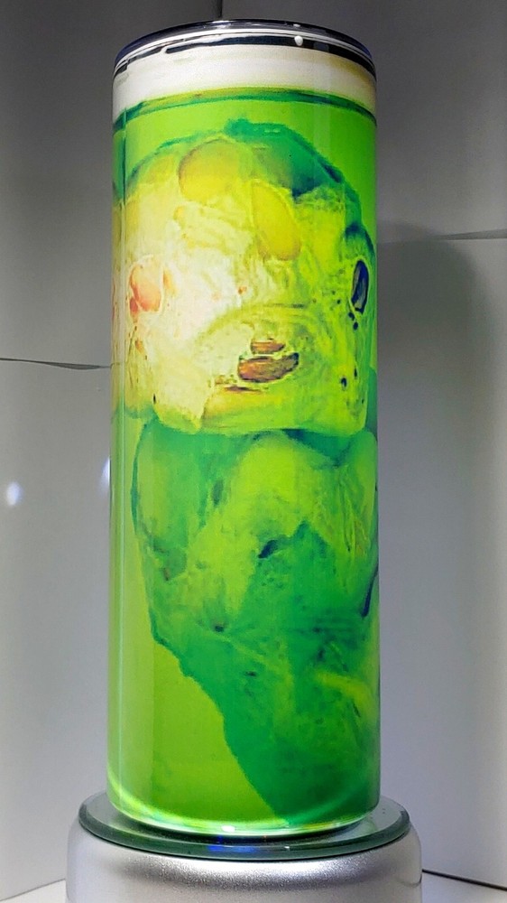 Alien embryo in jar 20oz stainless steel tumbler with straw and brush cleaner