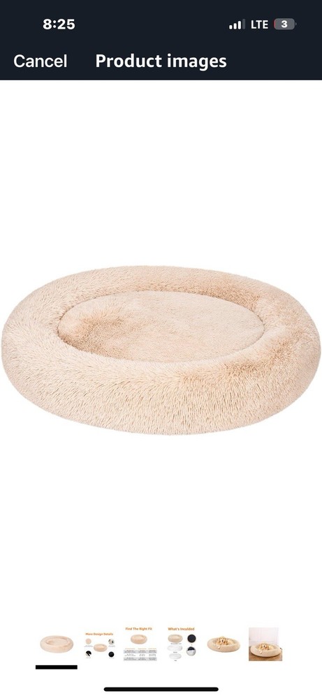Extra-Large Dog Beds for Big Breeds – Durable & Comfortable
