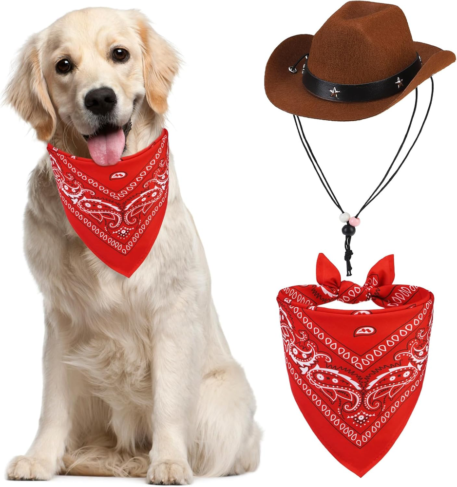 Paisley Dog Bandana Outfit Scarf with Cute Doggy Cowboy Hat, Halloween Costume D