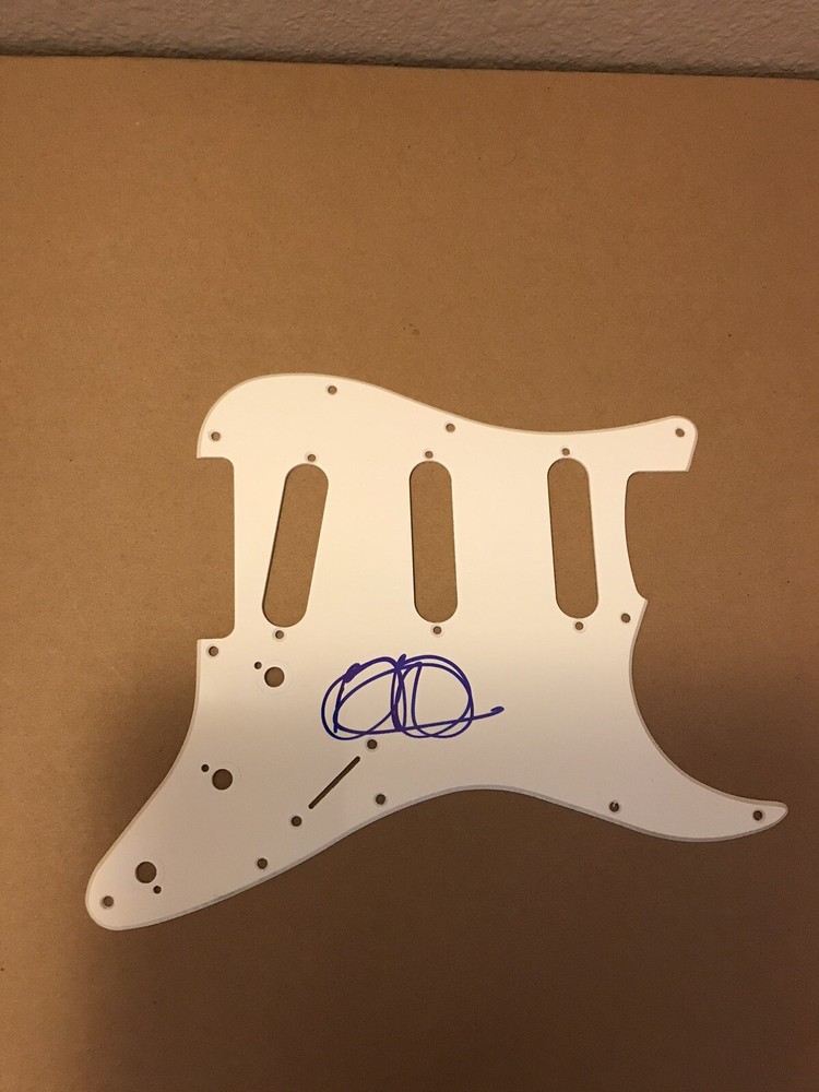 Brandon Boyd Incubus Member Signed Fender Squier Guitar Pickguard Stratcaster