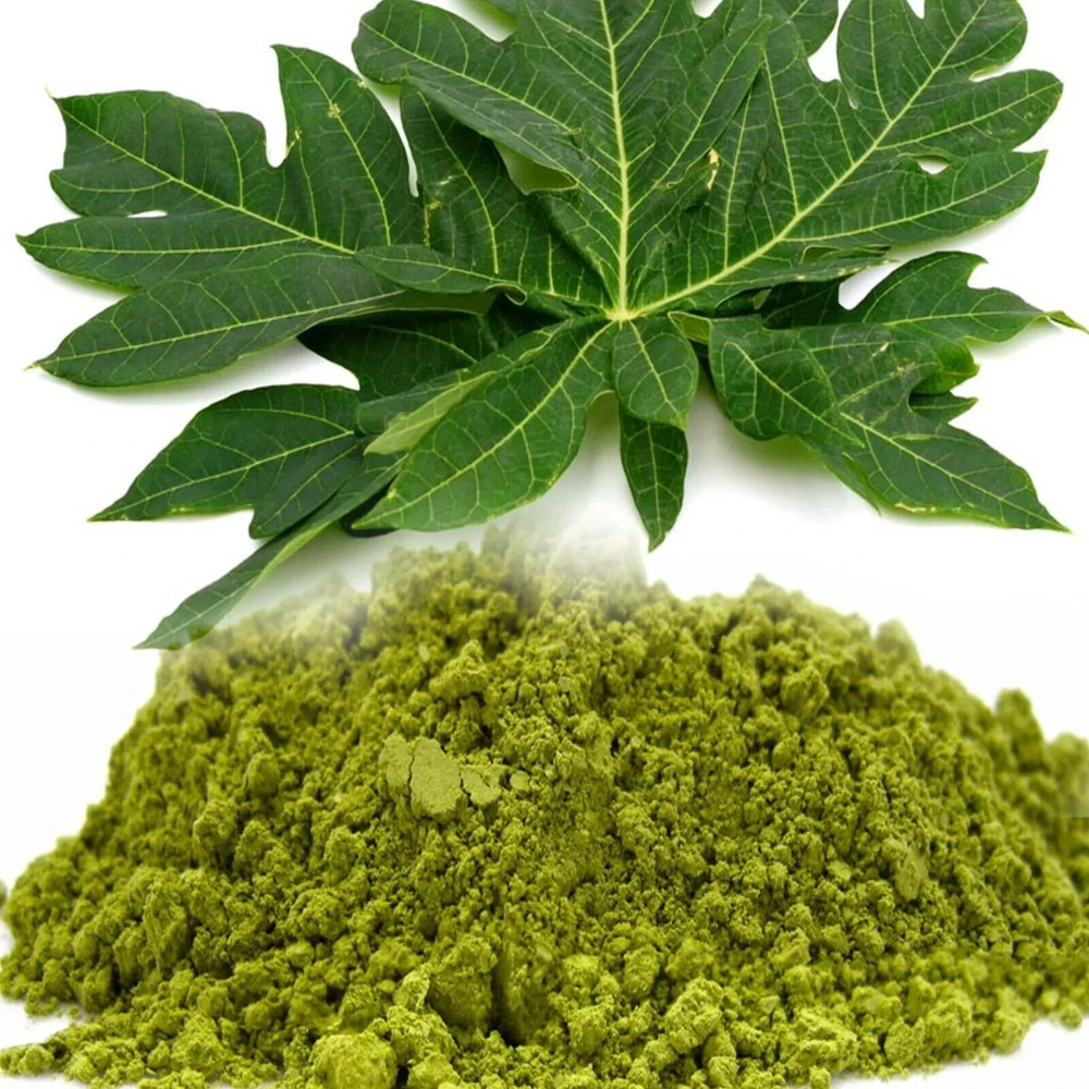 Ceylon Organic Papaya Leaf Powder for Immune-Boosting Tea