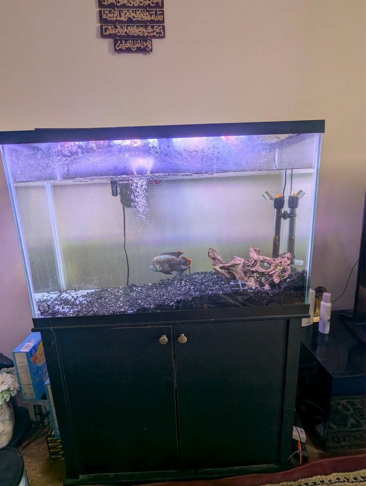 45-Gallon Complete Aquarium Starter Kit with Tank & Accessories