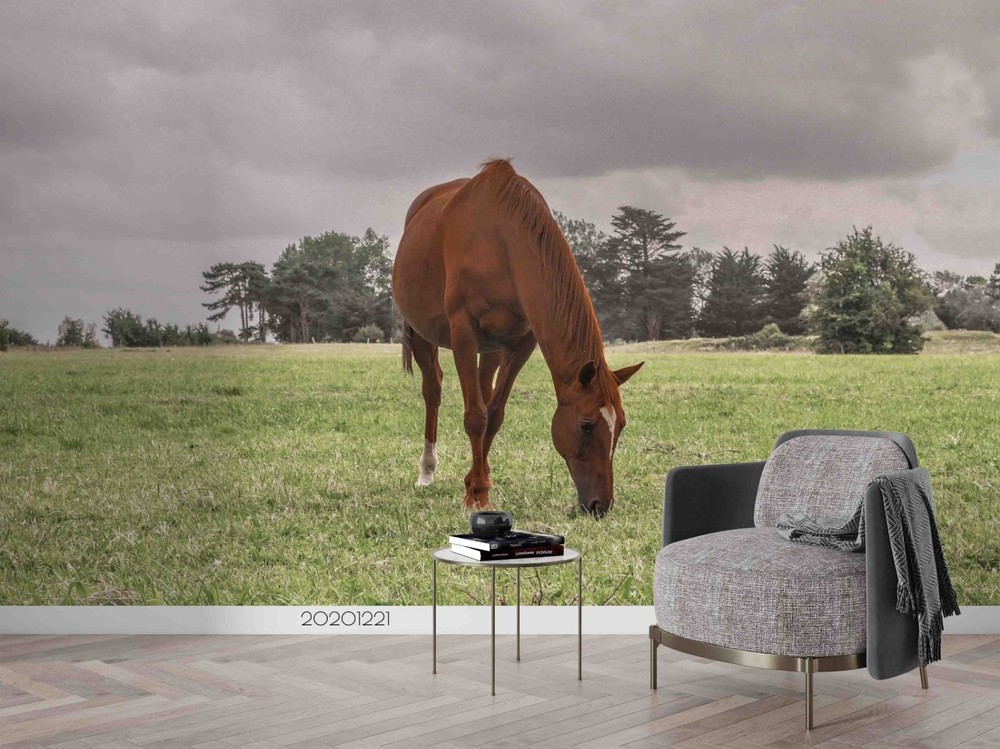 3D Sky Grassland Horse Landscape Wall Murals Wallpaper Murals Wall Sticker